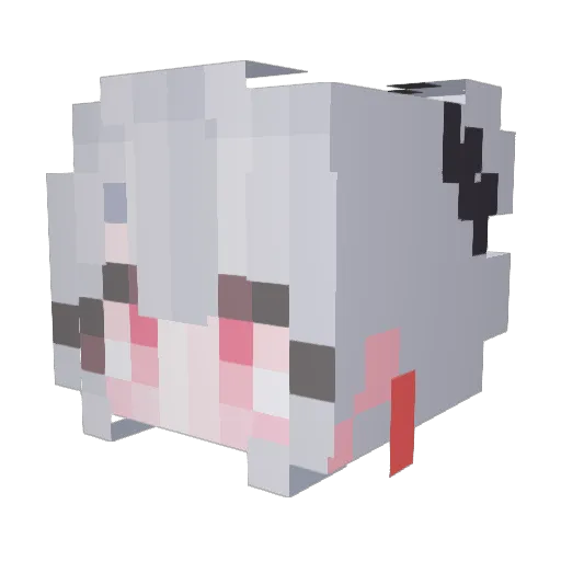 doori_o3o Minecraft avatar head, 3D render
