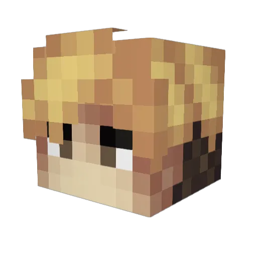 doorj Minecraft avatar head, 3D render