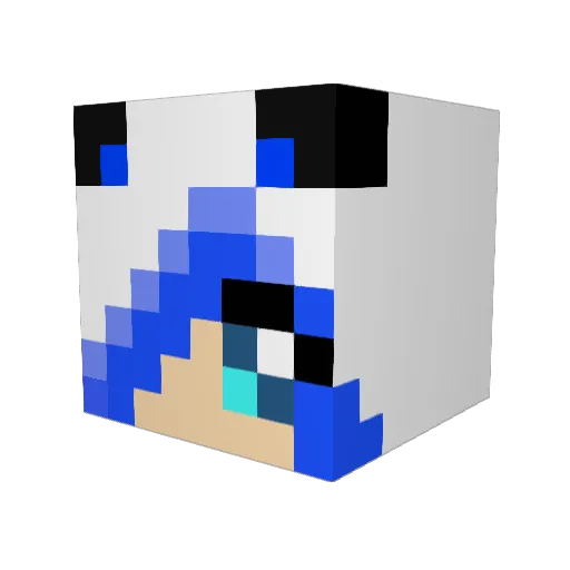 doorky Minecraft avatar head, 3D render