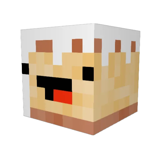 doormatt_lol Minecraft avatar head, 3D render
