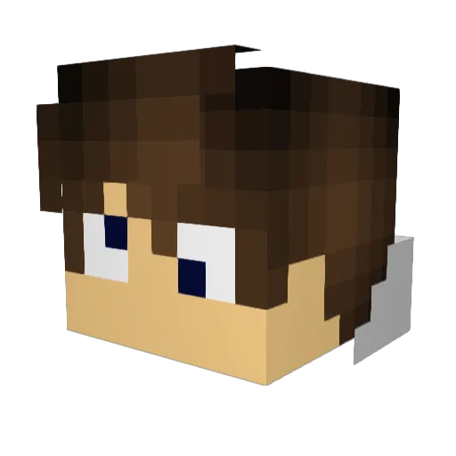 doowap300 Minecraft avatar head, 3D render