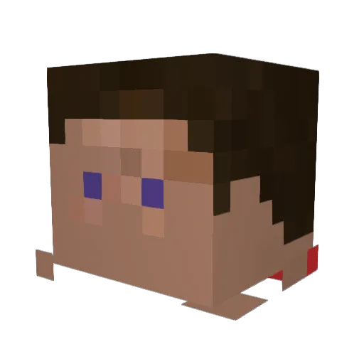 dooyaga Minecraft avatar head, 3D render