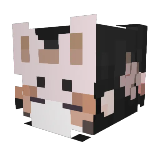 dopeAko Minecraft avatar head, 3D render