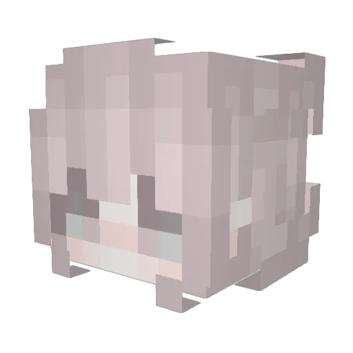 dopebabyyy Minecraft avatar head, 3D render