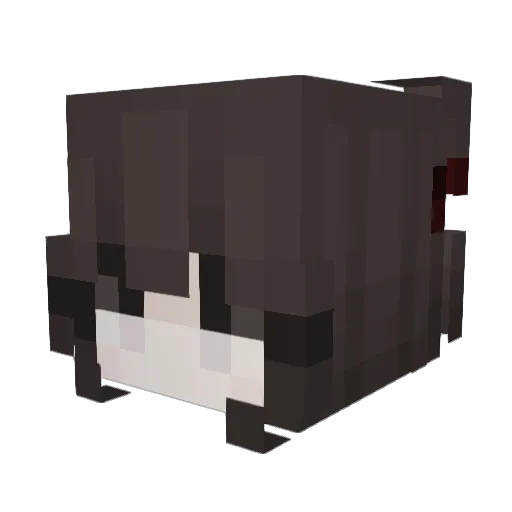 dopeellie Minecraft avatar head, 3D render