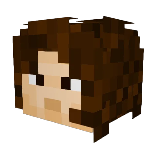 dophin01160 Minecraft avatar head, 3D render