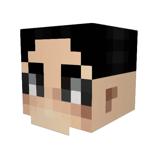 dopita Minecraft avatar head, 3D render