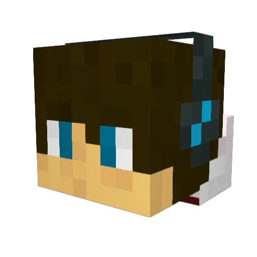 doplan Minecraft avatar head, 3D render