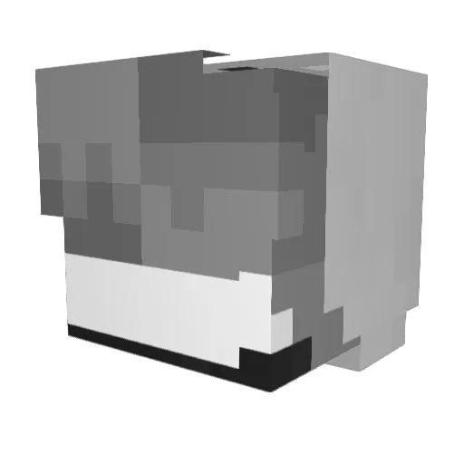 doppelcoq Minecraft avatar head, 3D render