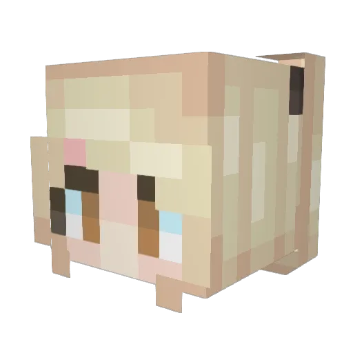 dorangg Minecraft avatar head, 3D render