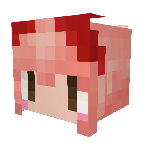 doraou2525 Minecraft avatar head, 3D render