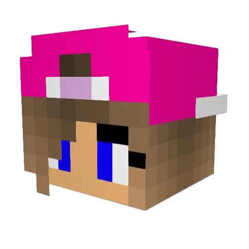 dorinjo Minecraft avatar head, 3D render
