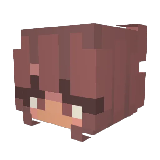 doritos5424 Minecraft avatar head, 3D render