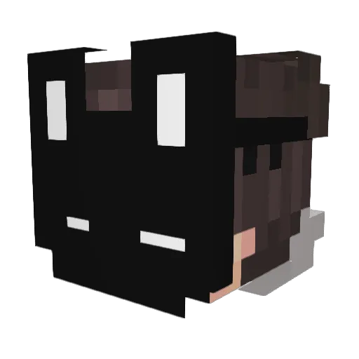 doritt Minecraft avatar head, 3D render