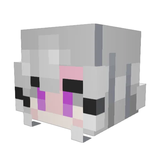 dorkypanda22 Minecraft avatar head, 3D render