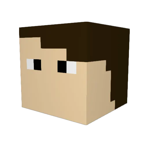 dorlandtmc Minecraft avatar head, 3D render