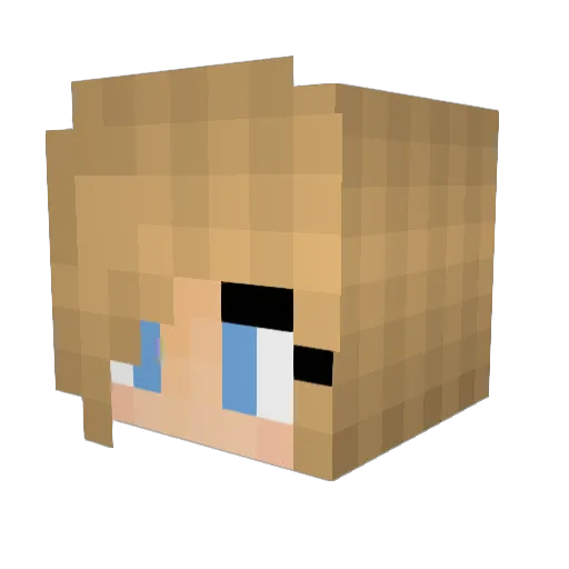 doro5673 Minecraft avatar head, 3D render