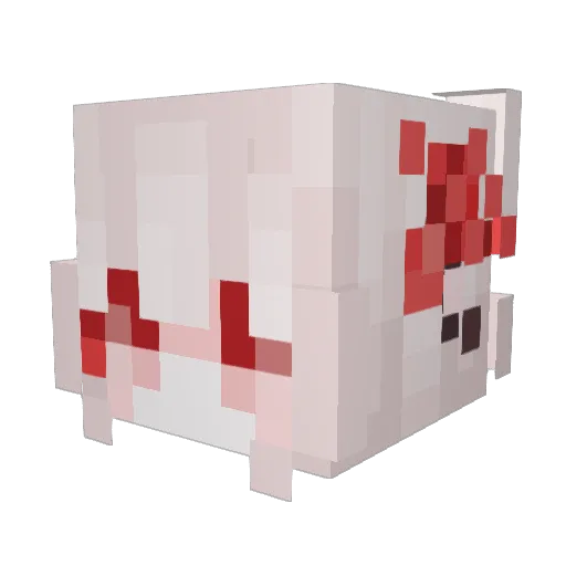 dorothyyyy Minecraft avatar head, 3D render