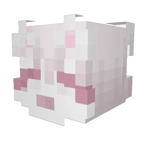 dorpidorpi Minecraft avatar head, 3D render