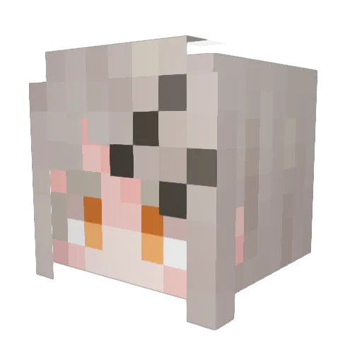 dorudoru6966 Minecraft avatar head, 3D render