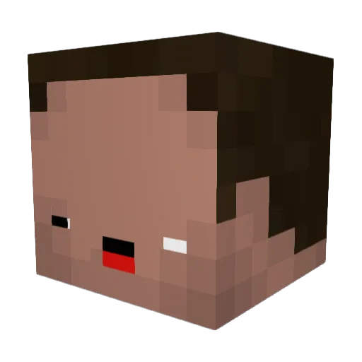 dos1399 Minecraft avatar head, 3D render