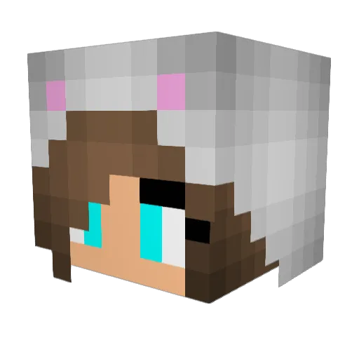 dotinbox Minecraft avatar head, 3D render