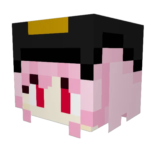 dotknifecest Minecraft avatar head, 3D render