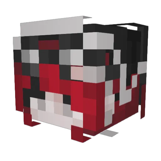 dottoreshusband Minecraft avatar head, 3D render