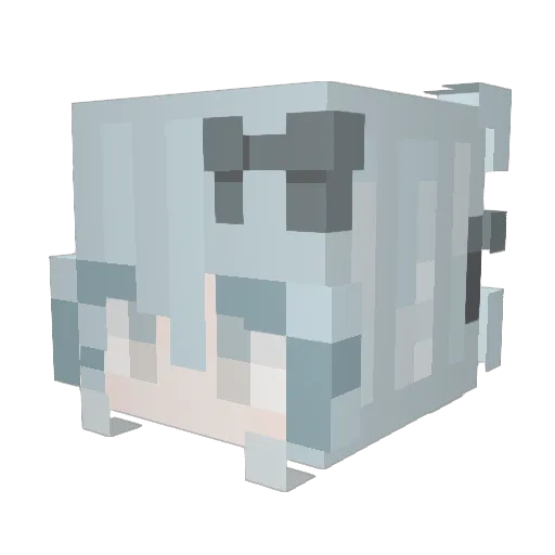 doubkz Minecraft avatar head, 3D render