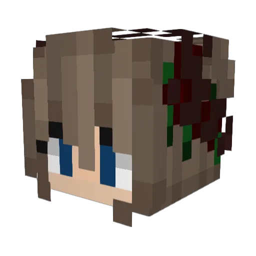 double8283 Minecraft avatar head, 3D render