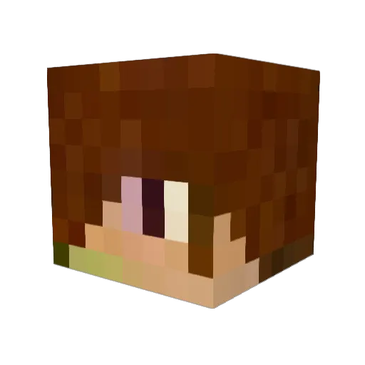 double_trouble11 Minecraft avatar head, 3D render