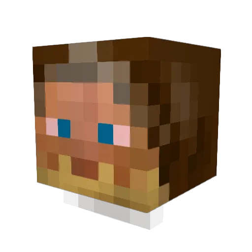 doubledanx2 Minecraft avatar head, 3D render