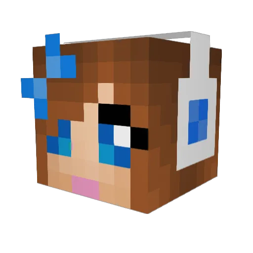 doublediamond Minecraft avatar head, 3D render