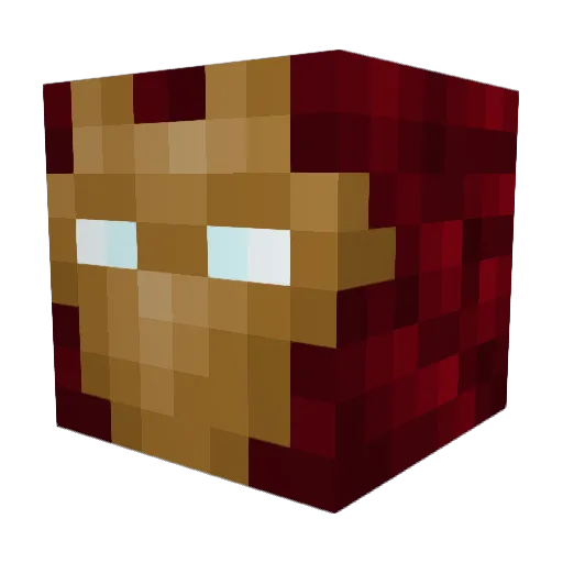 doubleturtle Minecraft avatar head, 3D render