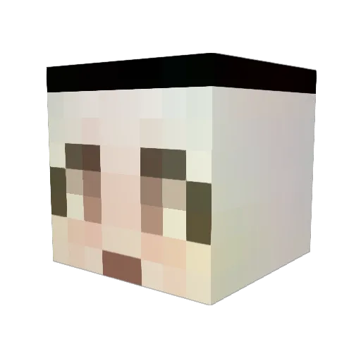doubletwins Minecraft avatar head, 3D render
