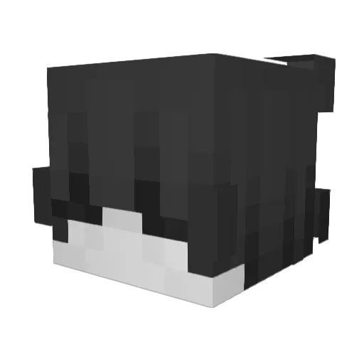 doublezowns Minecraft avatar head, 3D render