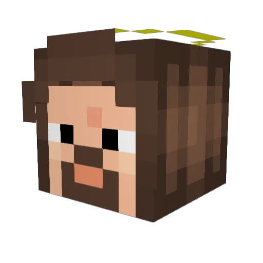 doug1103 Minecraft avatar head, 3D render