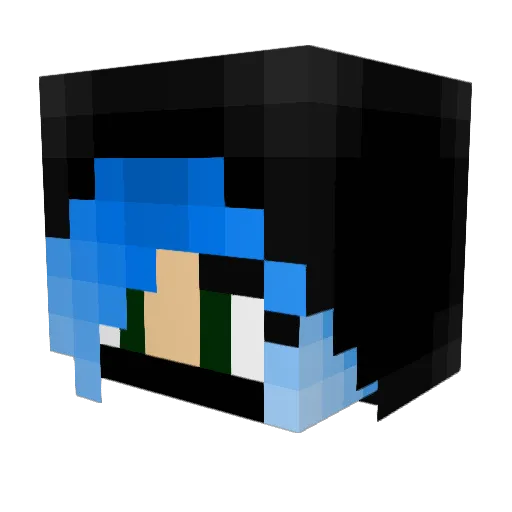 doughnut19 Minecraft avatar head, 3D render