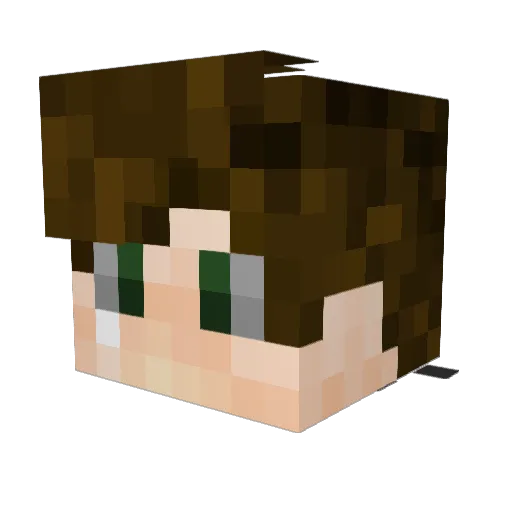doutdout101 Minecraft avatar head, 3D render