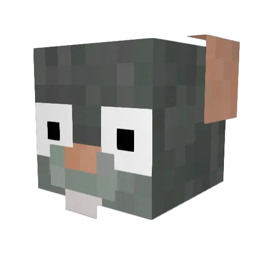 dovahkiin1225 Minecraft avatar head, 3D render