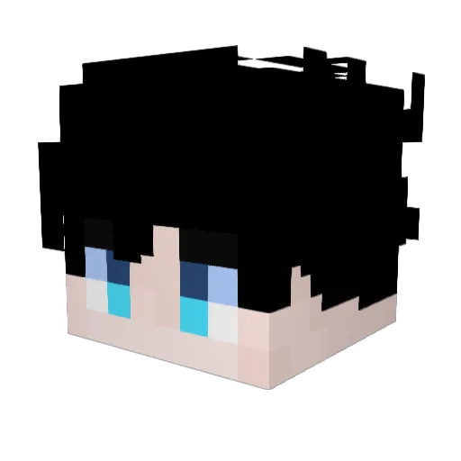 dovas3213 Minecraft avatar head, 3D render