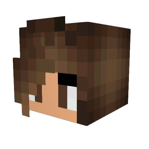 dowawan Minecraft avatar head, 3D render