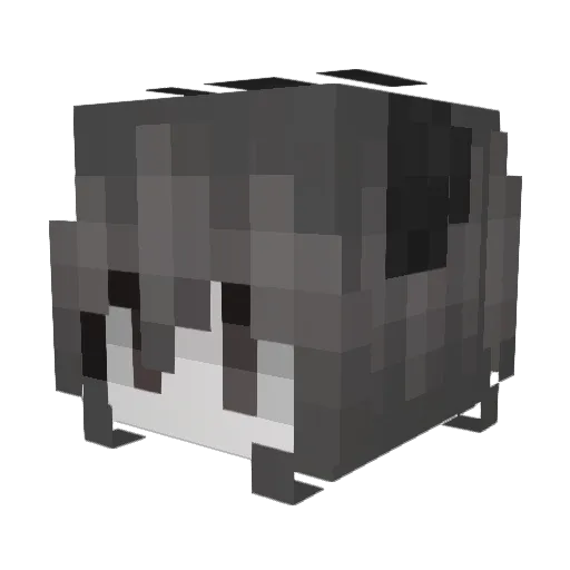 doxbin Minecraft avatar head, 3D render