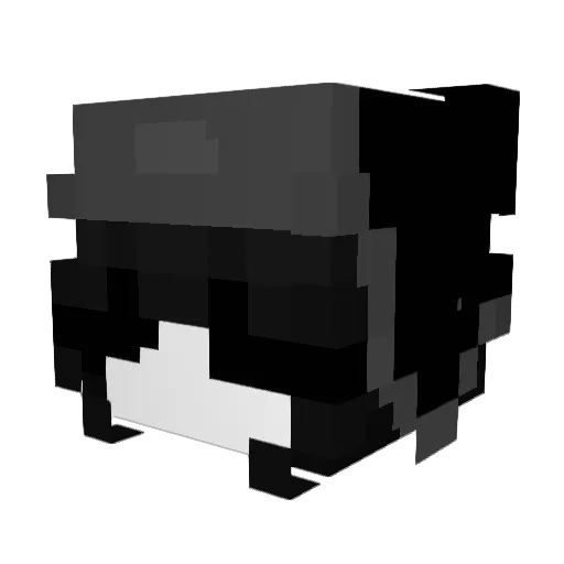 doxbinnet Minecraft avatar head, 3D render