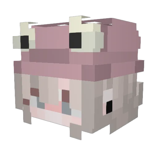 dpdms_o8 Minecraft avatar head, 3D render