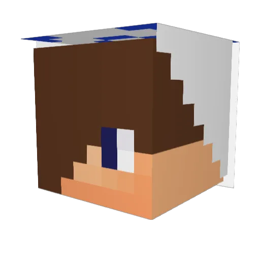 dpgriffin2004 Minecraft avatar head, 3D render
