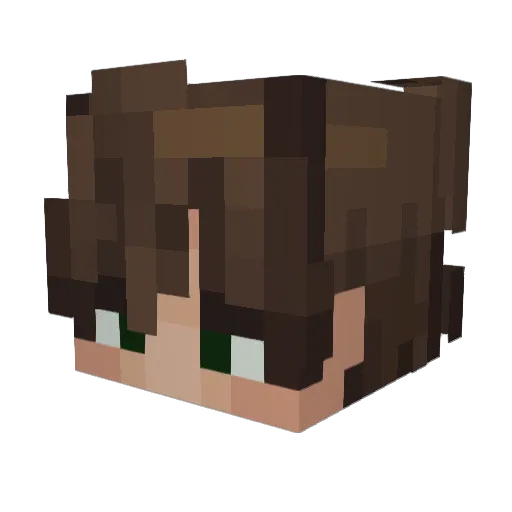 dpwd Minecraft avatar head, 3D render