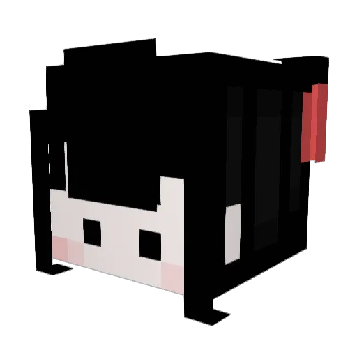dpwls566 Minecraft avatar head, 3D render
