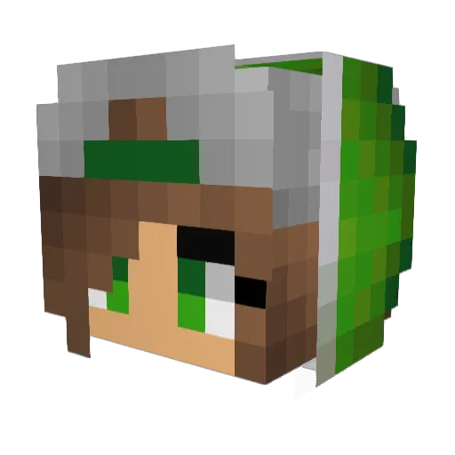 dqbFeli4ka Minecraft avatar head, 3D render