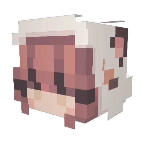 dqrkstalk1r Minecraft avatar head, 3D render
